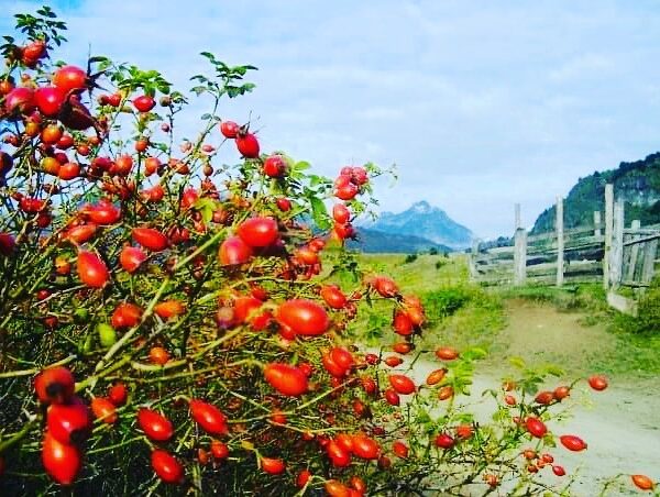 328583032_3519845731577451_2612253358268080092_n