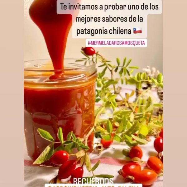 354243404_664077532234125_2721686435115889533_n