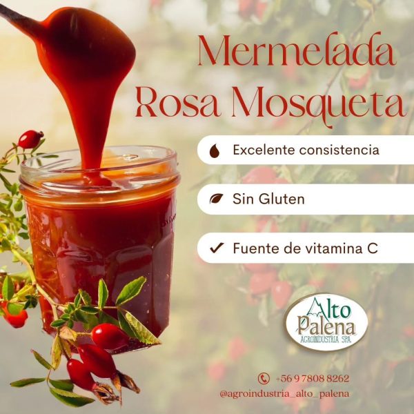 360095060_252952540824103_2339827884530836503_n