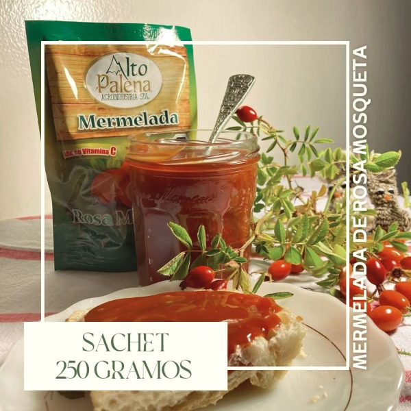 362829122_1499724034188727_1411578897749803866_n